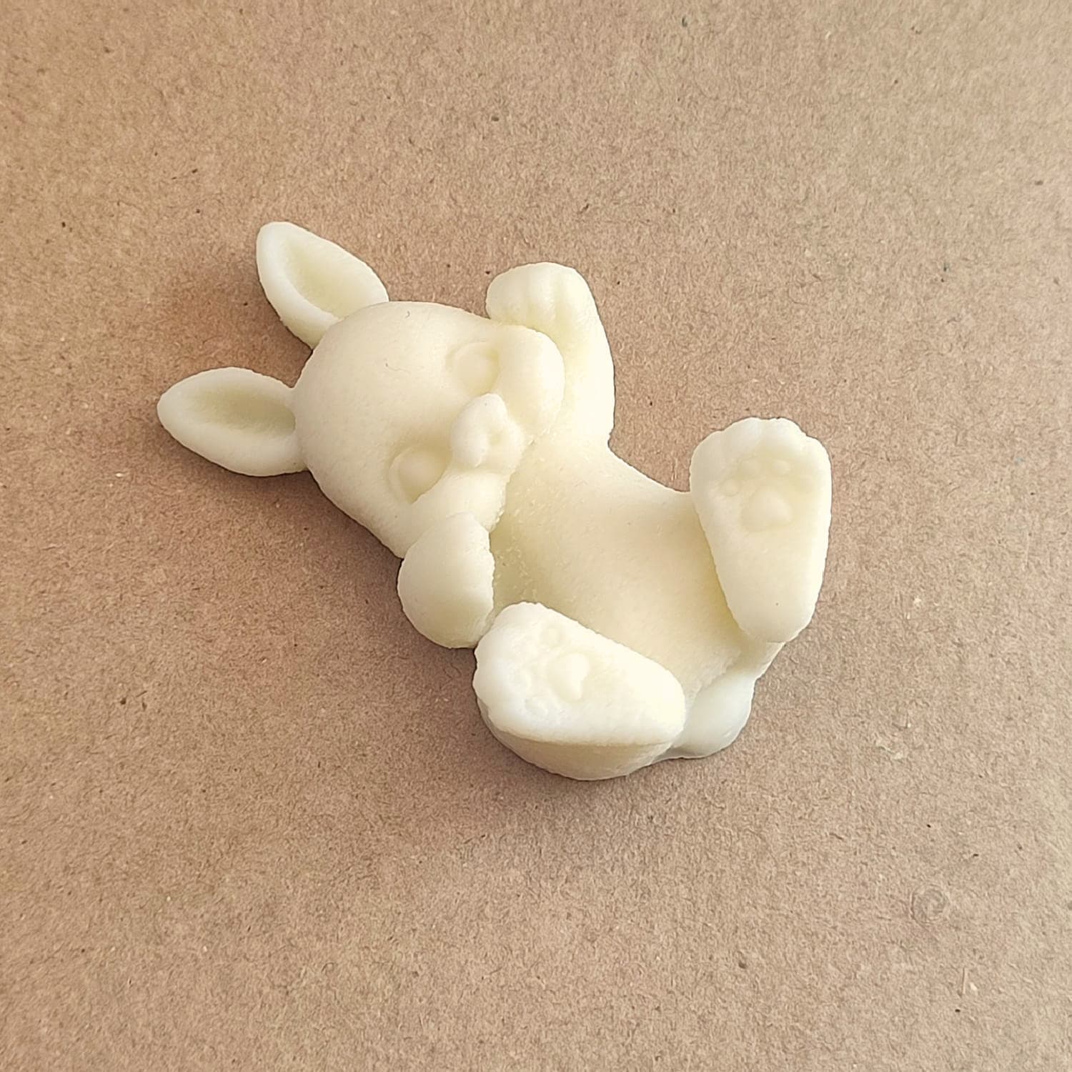 Baby Rabbit on its back 2